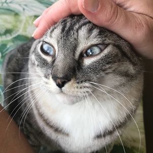 Meet your Posher, Bonnie